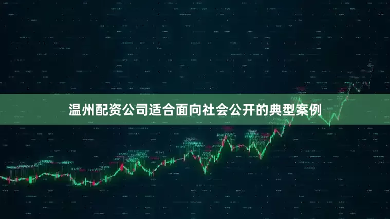 温州配资公司适合面向社会公开的典型案例